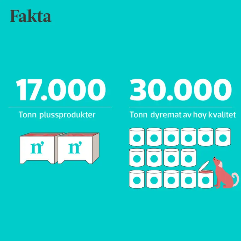 Norsk dyremat - infografikk