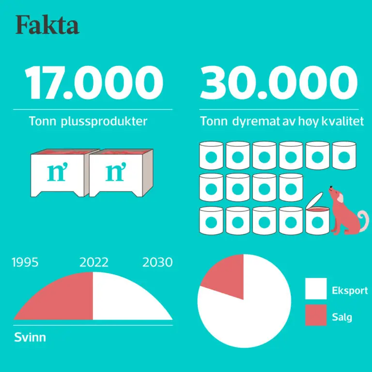 Norsk dyremat - infografikk