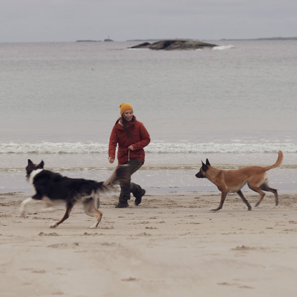 På tur med hund på strand